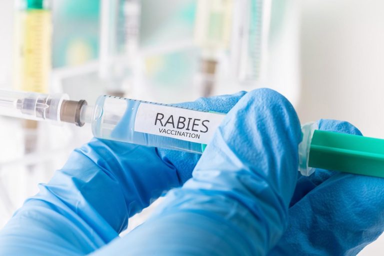 Rabies Vaccine for Humans | Explained - Insurdinary